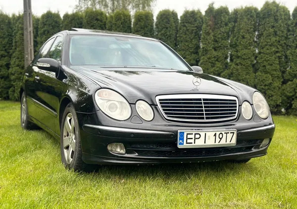 samochody osobowe Mercedes-Benz Klasa E cena 16800 przebieg: 412000, rok produkcji 2003 z Wieluń